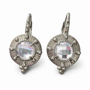NEW FREIDA ROTHMAN SINGLE STONE LEVERBACK EARRINGS